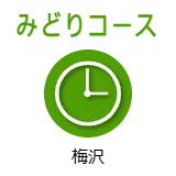みどりコース　梅沢